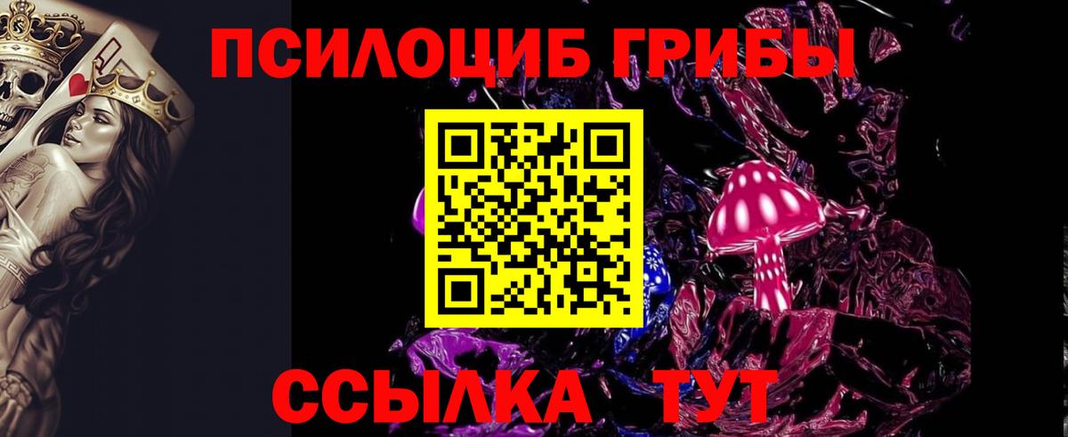 Одинцово  Галлюциногенные грибы Psilocybe  Вход с VPN 